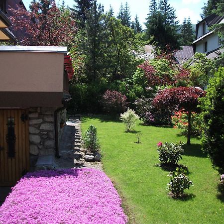 Willa Sezamek Blisko Szlakow I Centrum Zakopane Ngoại thất bức ảnh