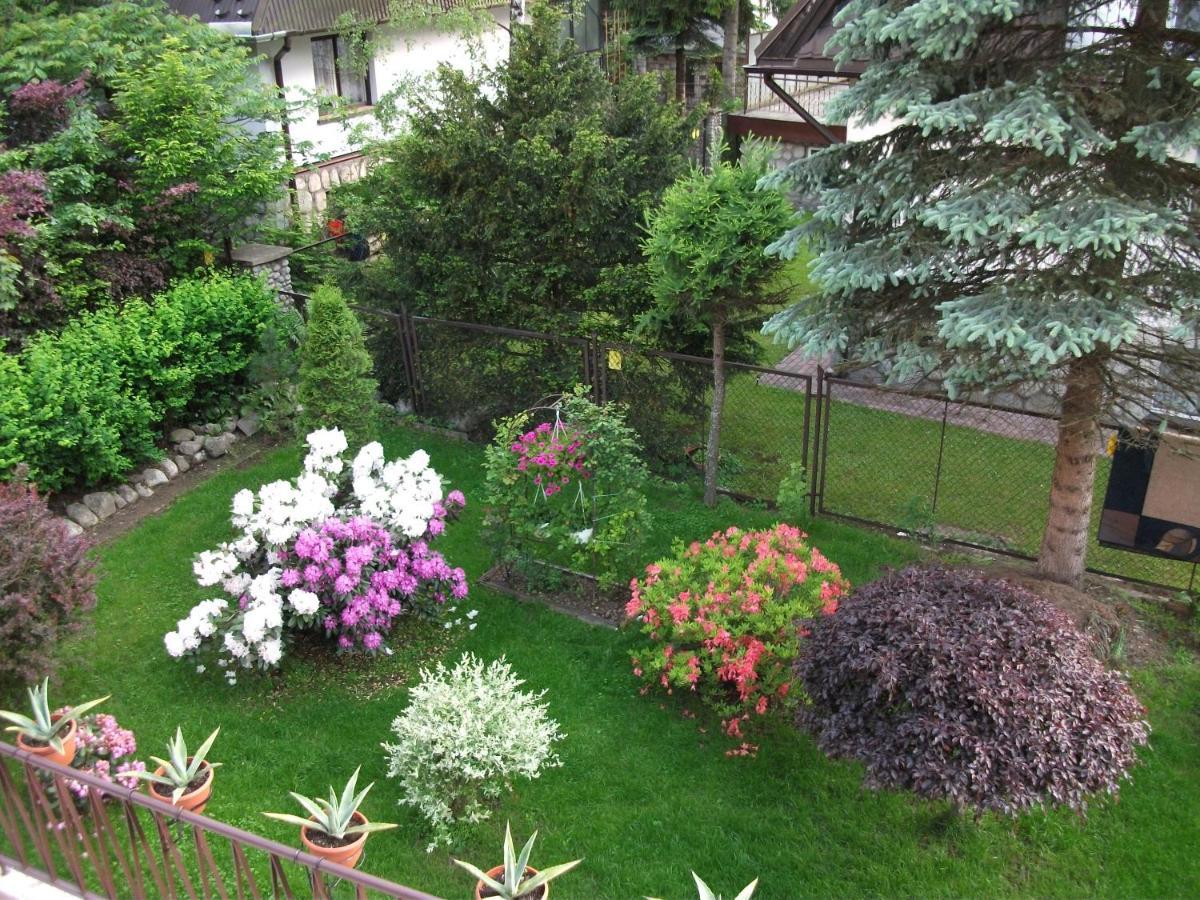 Willa Sezamek Blisko Szlakow I Centrum Zakopane Ngoại thất bức ảnh